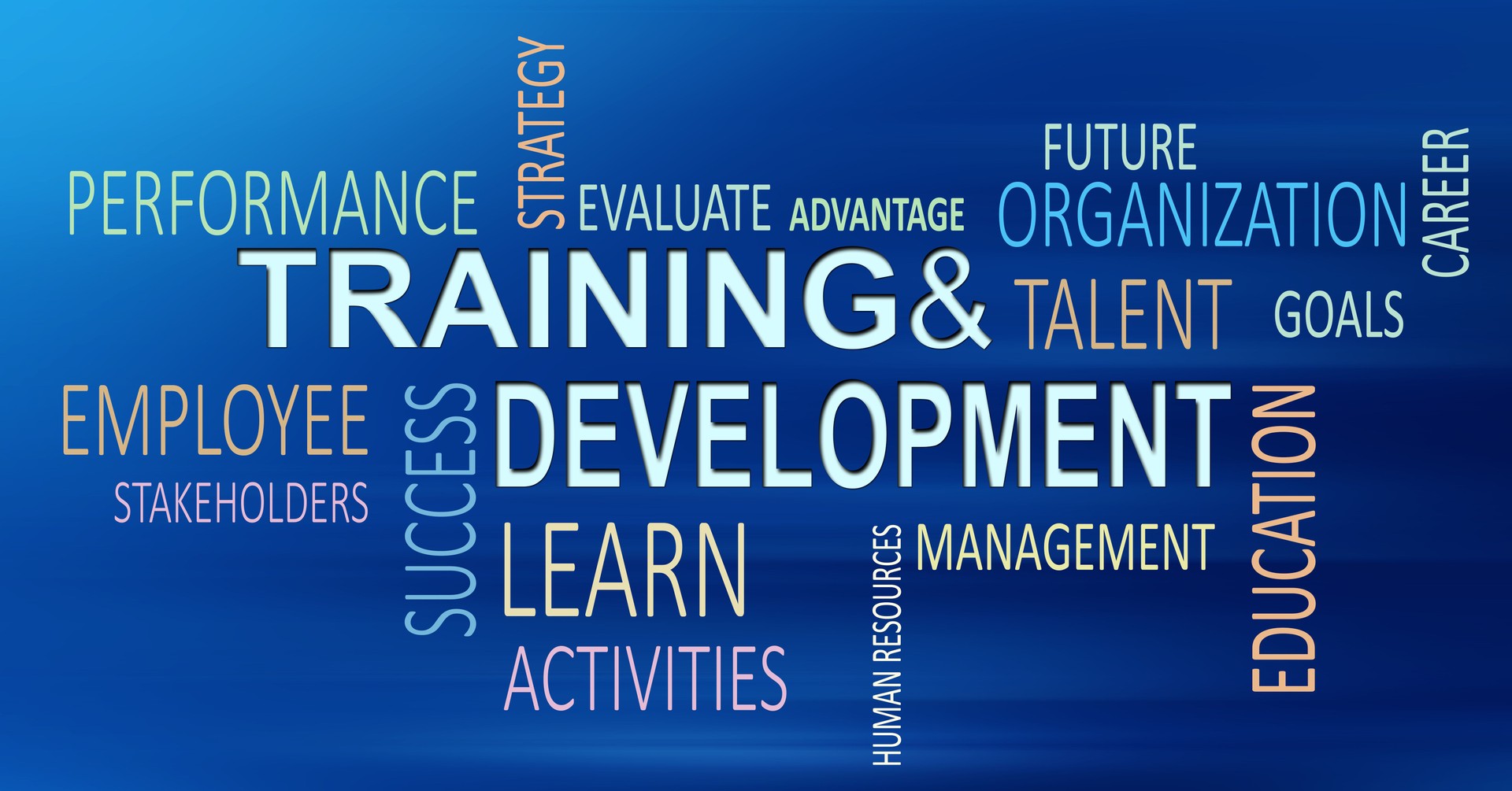 Training and Development